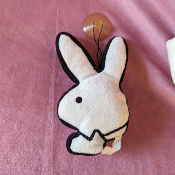 Playboy mini bunny 🐰 - Picture 4 of 7